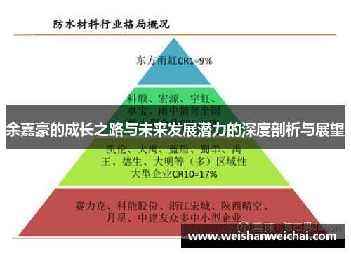 余嘉豪的成长之路与未来发展潜力的深度剖析与展望