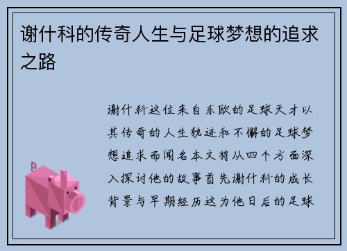 谢什科的传奇人生与足球梦想的追求之路